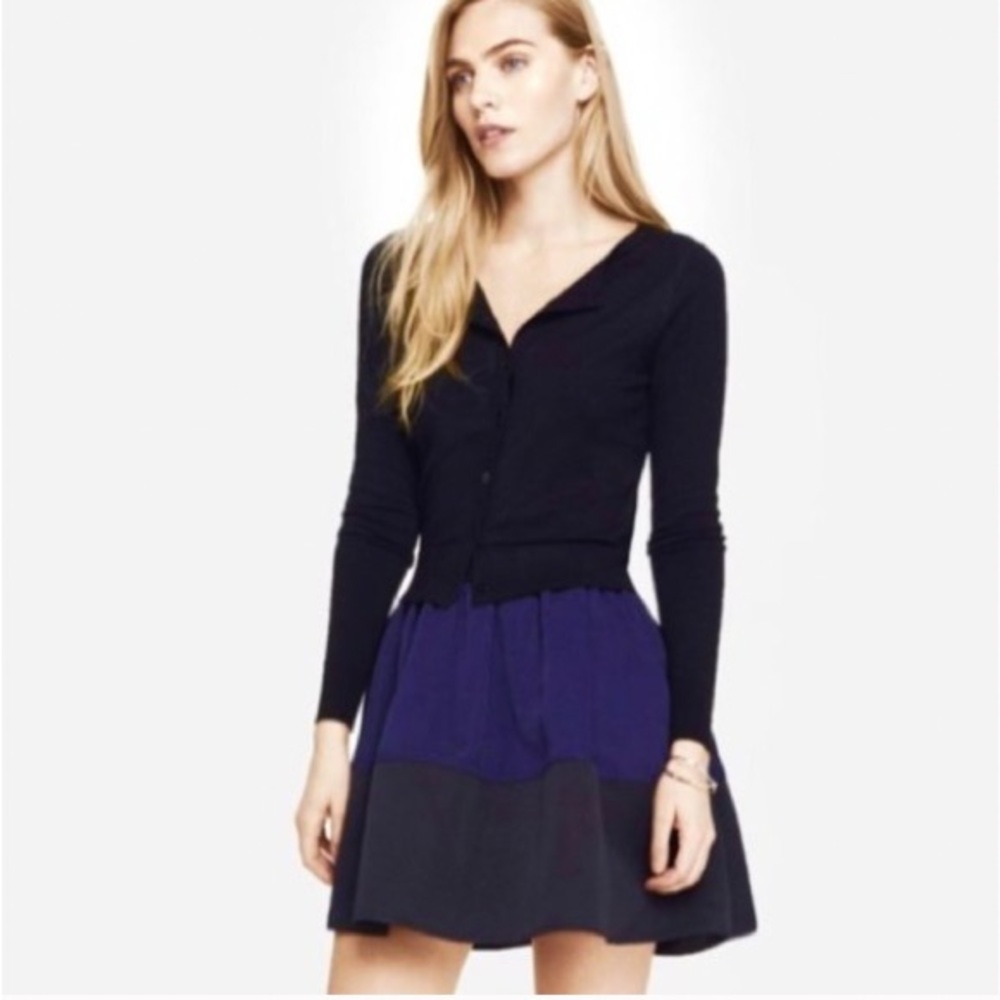 Express Color Block Skirt